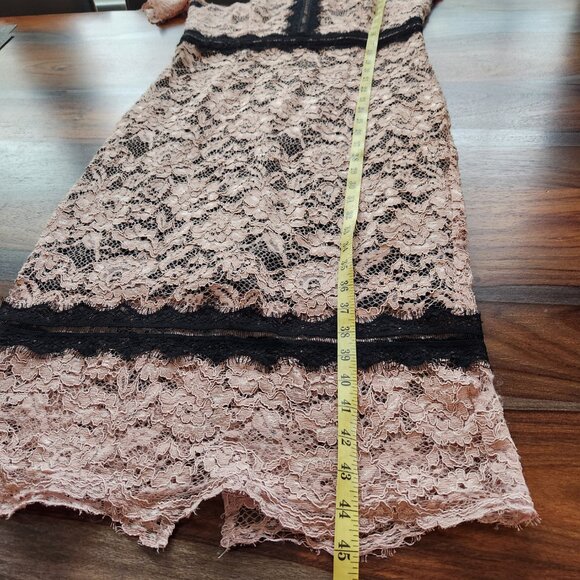 Gorgeous Lace Dressy Dress Pale Pink Black Jax Black Label Size 8 Beautiful Sexy - Picture 7 of 11